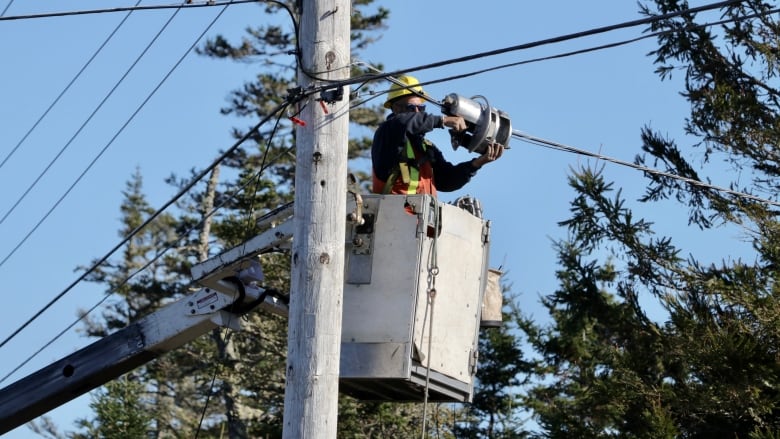 A worker is seen repairing a phone line in Ecum Secum.