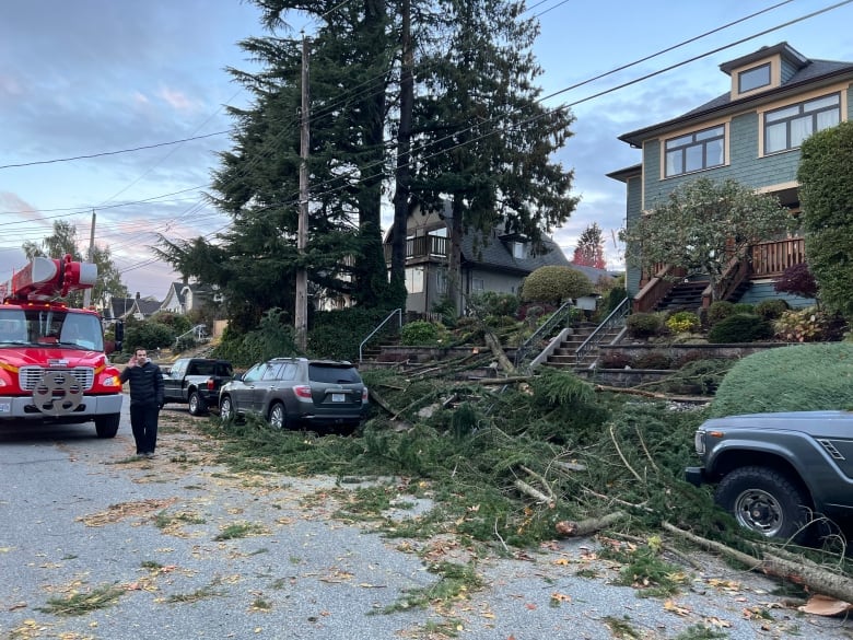 A man talks on a mobile phone as tree debris litters the front steps of a house.