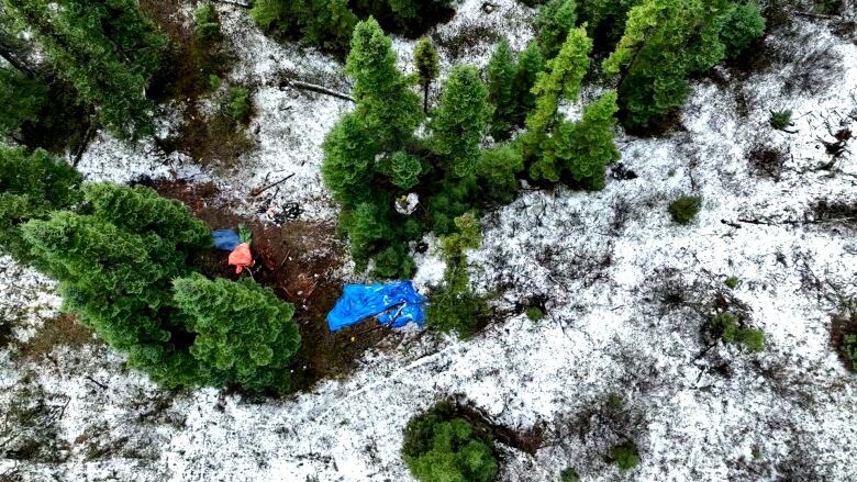 An aerial view of a blue tarp amid snowy woods.