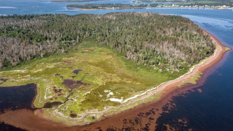 Kwesawek, or Oulton's Island, in Cascumpec Bay near Alberton. This is a drone image of the island from above.