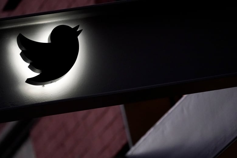 The Twitter logo image shown in black shadow against a white light.