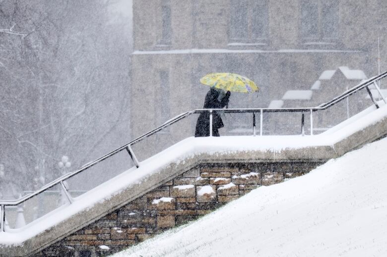 Someone raises an umbrella against the snow while walking up some stairs.