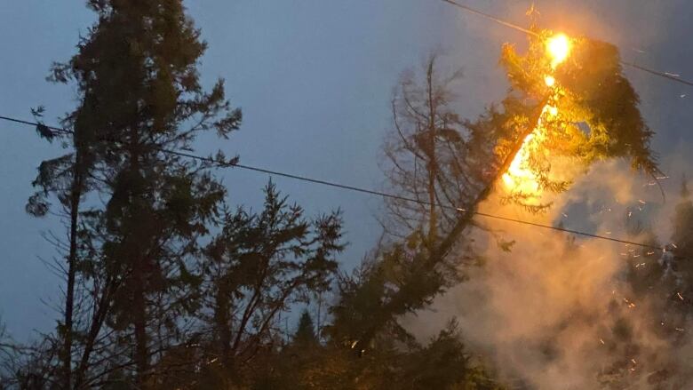 A tree burns on a power line near Mount Stewart, P.E.I.