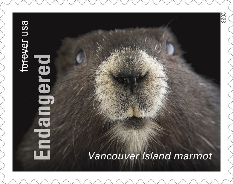 An endangered Marmot on a stamp