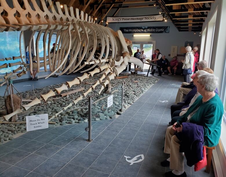 A large whale skeleton hangs in the air in a long room. To the right, a number of senior citizens sit and take in the sight. 