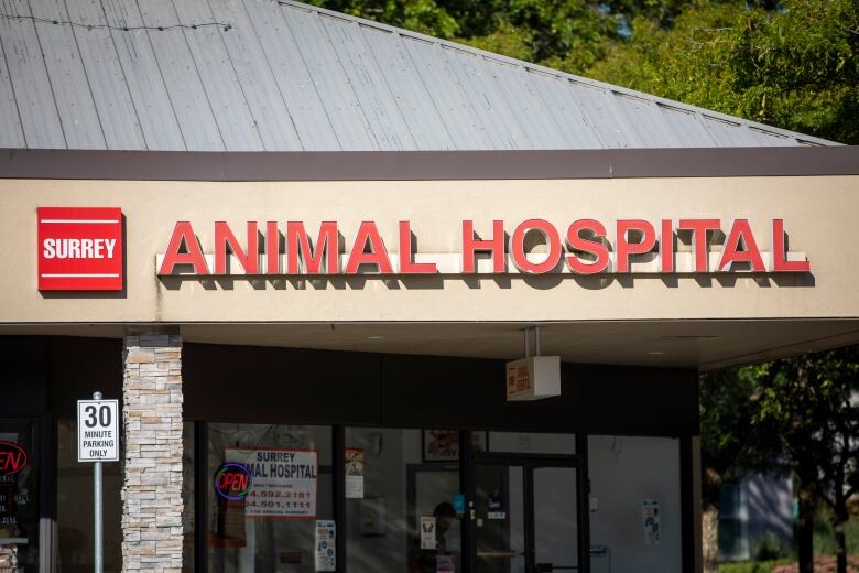 A one-storey building's peaked roof with an amber front says Surrey Animal Hospital on it in big red letters.