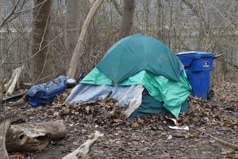 Green and blue tent in woods.