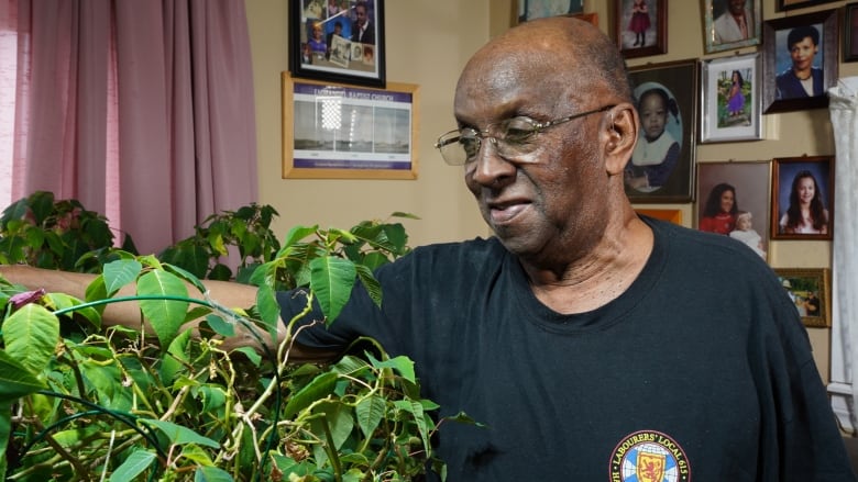 A man is seen smiling down at the green poinsettia plant next to him in his living room.