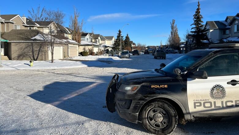 A police SUV can be seen on the right side  of the frame with a suburban street stretching behind with houses on the left in the sun.