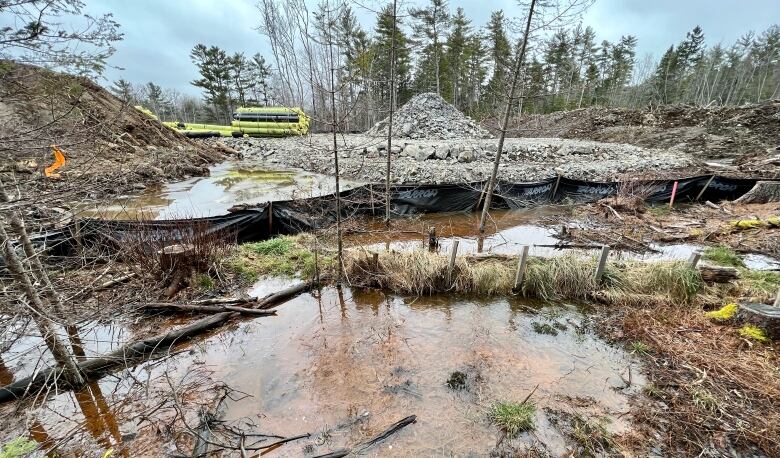 A flooded portion of Adams's property is pictured with the road construction site in the background.