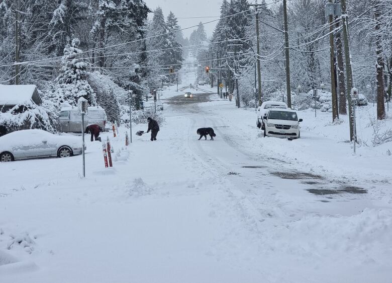 A person shovels snow next to a dog on a snowy street.