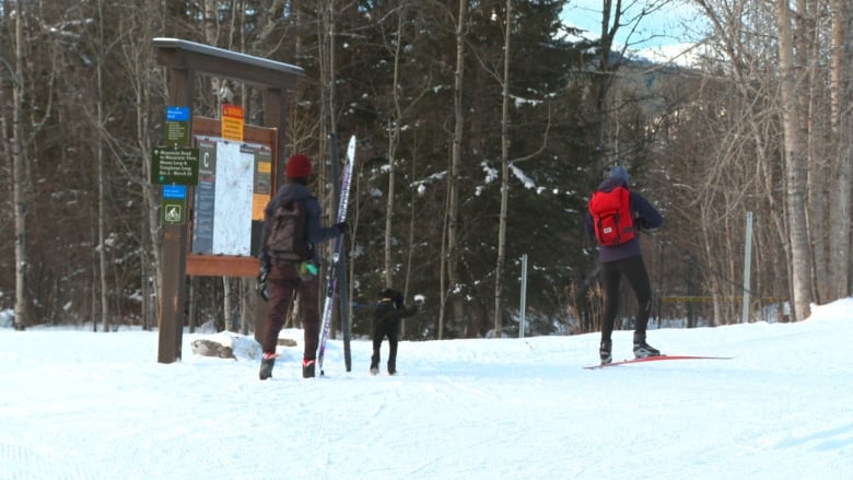 A cross-country skiier looks at the Bragg Creek Day Use Area trail map before strapping on skis. 