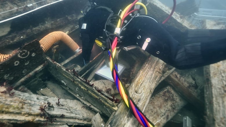 Diver in black hovers over indistinct pieces of wood, flanked with bright-coloured tubes. 