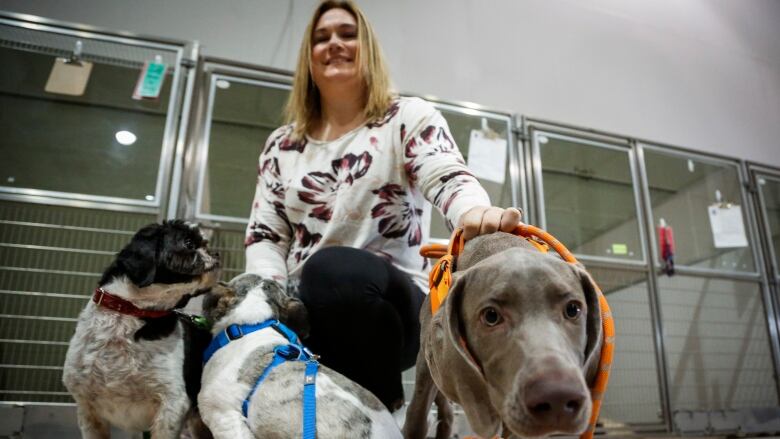 A woman sits behind three dogs in an animal facility with cages in the background.