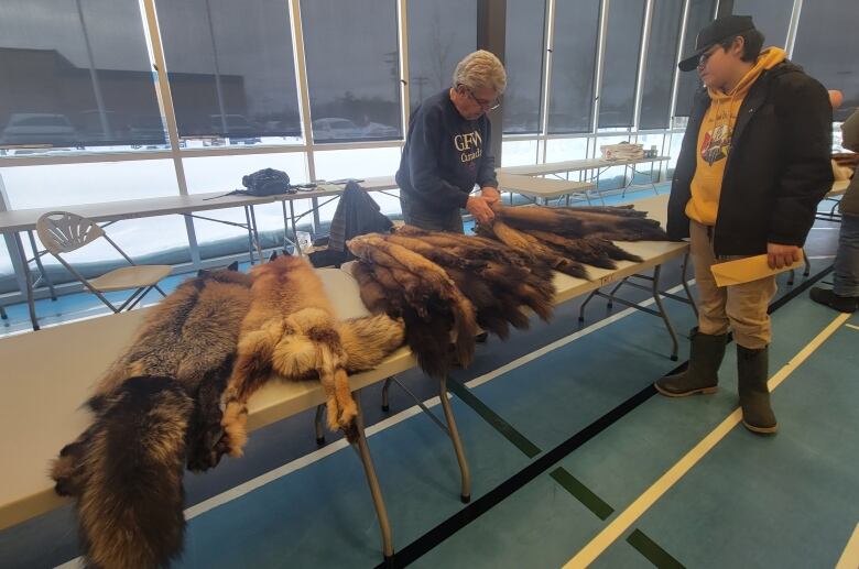 A person looks at pelts laid out on a table while another person watches.