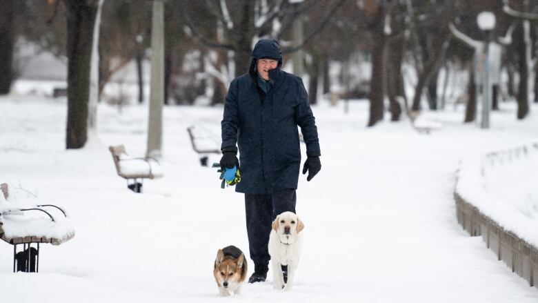 A man walks two dogs on a snowy path.