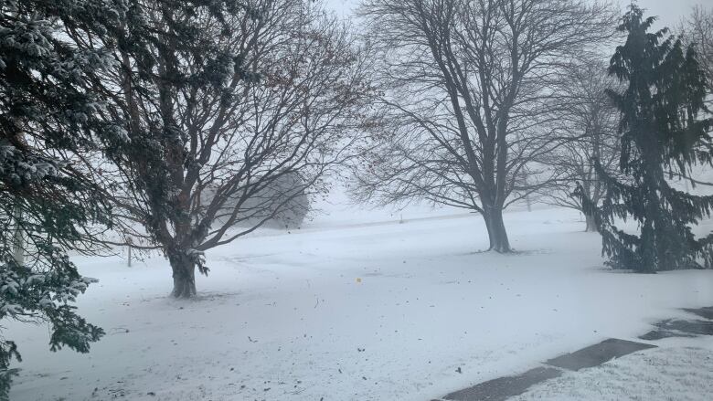 A major winter storm with gusty winds and blowing snow blocking a road