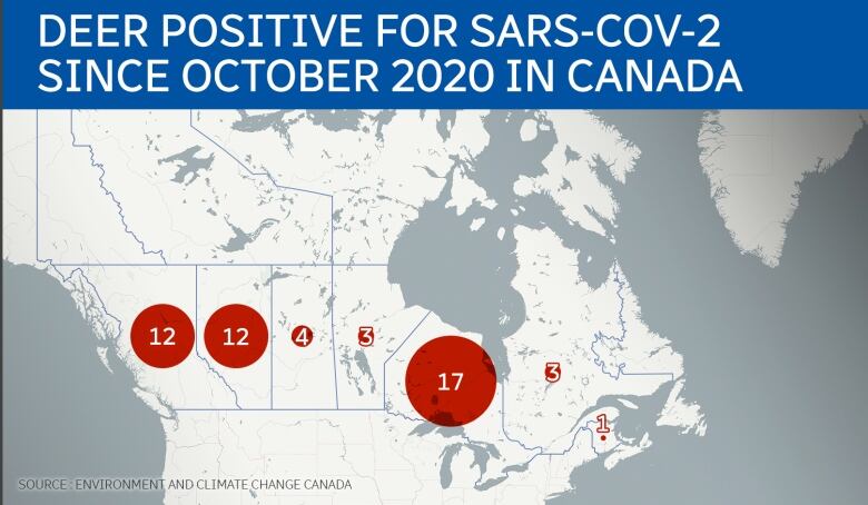 A map showing hot spots in Canada where deer have tested positive for coronavirus.