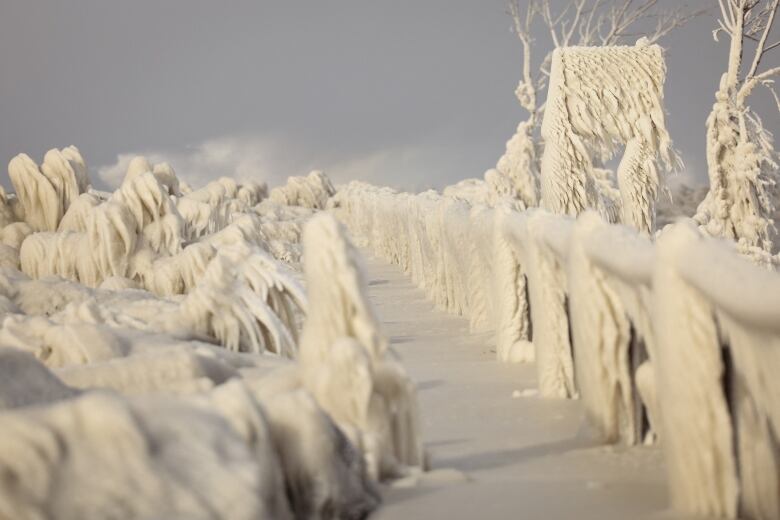 Ice covers tress and a fence along a walkway. 