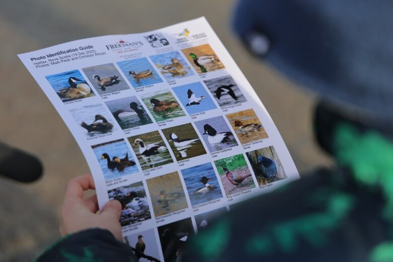 A child holds a photo identification guide filled with small photos of birds