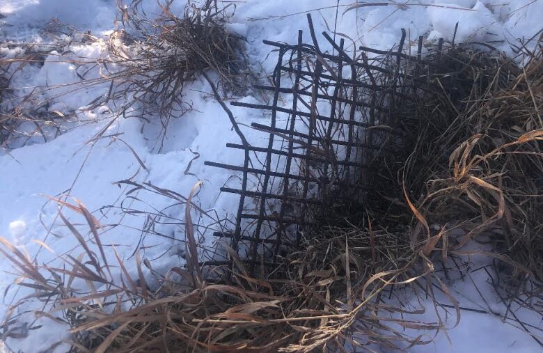 A latticed piece of metal stick up from dead grass in an area of trampled snow. 