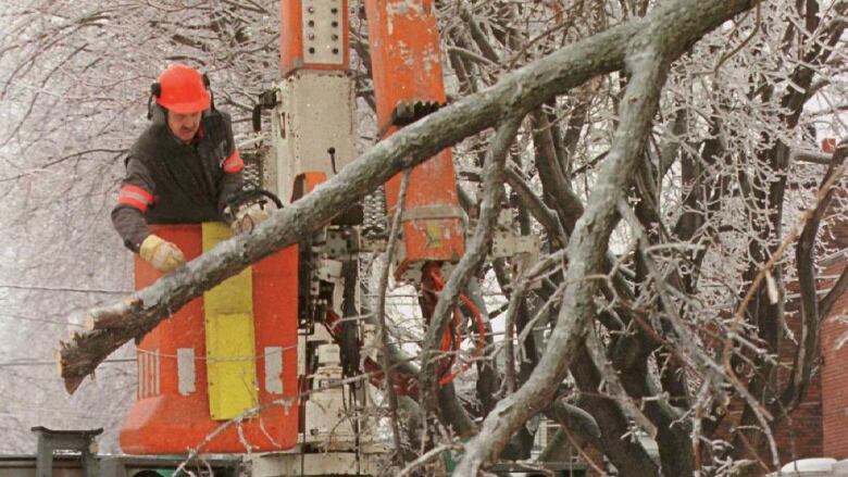 An archival picture of a hydro-quebec worker working on a branch on a downed power line.