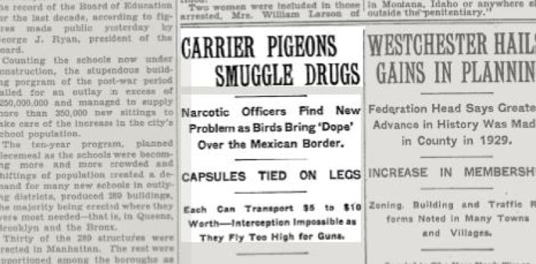 A newspaper article warning about pigeons smuggling drugs across the U.S.-Mexico border appears in a newspaper on Feb. 2, 1930.