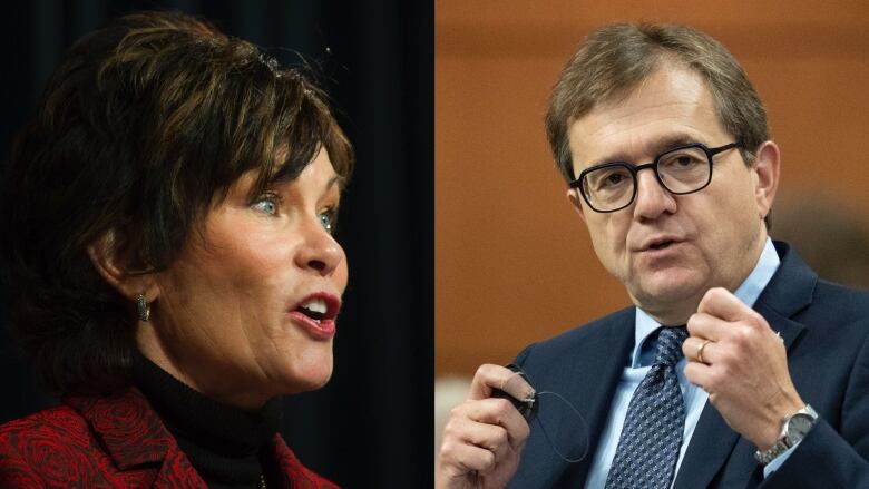 Sonya Savage is Alberta's environment minister. Jonathan Wilkinson is the federal natural resources minister. 