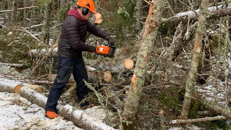 A man wearing an orange safety hat and winter clothing holds a chainsaw up to a tree on the right of the photo.