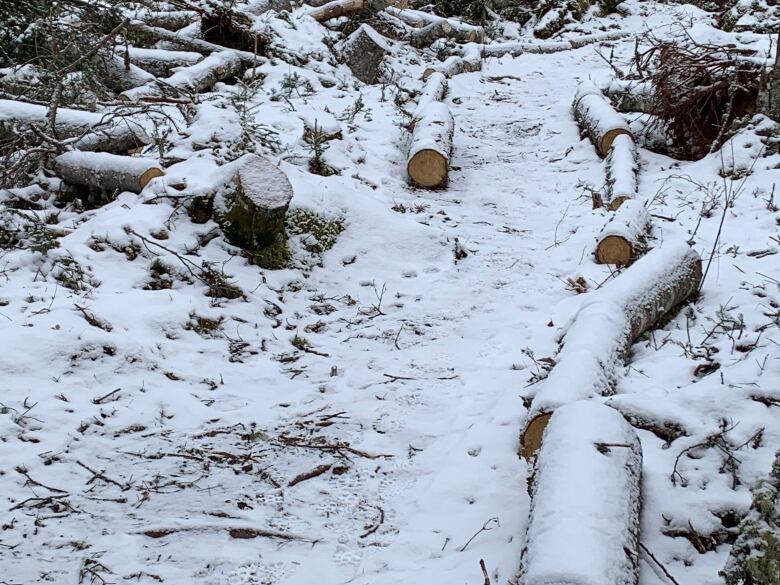 A snow covered trail is lined with chopped logs on either side.