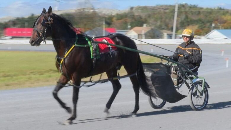 A person riding behind a brown horse on a track