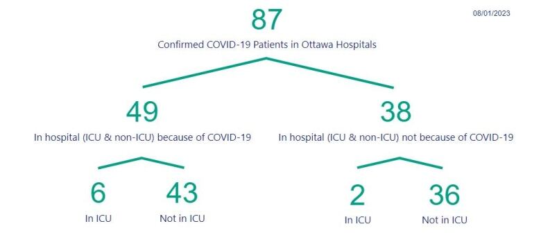 A graphic breaking down Ottawa COVID-19 hospitalizations.