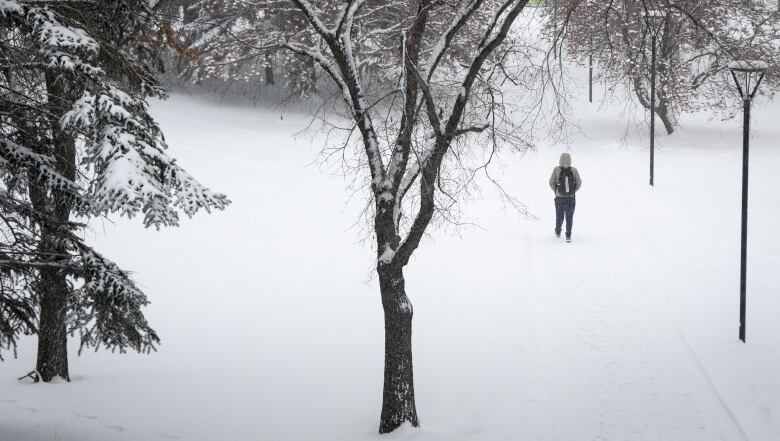 A student wearing a cream-colored jacket and a black backpack walks along a snowy trail with bare trees and light posts. 