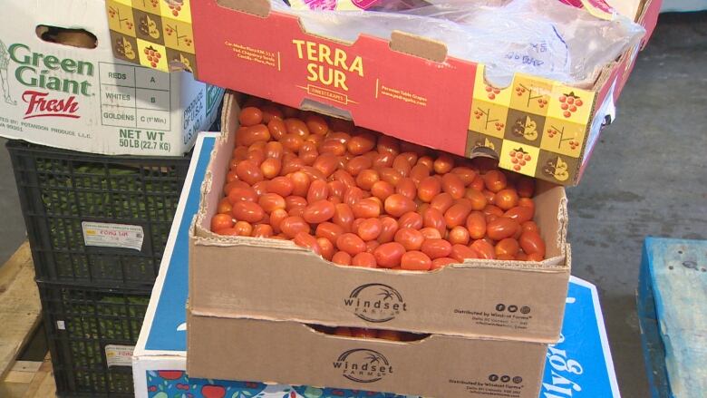 Boxes of grapes, cherry tomatoes, potatoes and other produce are stacked on a pallet.