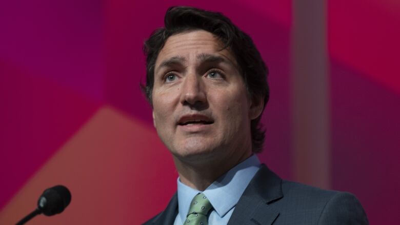 Prime Minister Justin Trudeau is seen giving a speech.