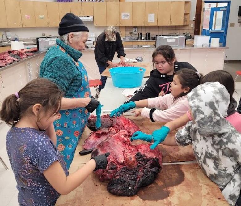 Students and an elder gather around a large piece of moose meat on a table. 