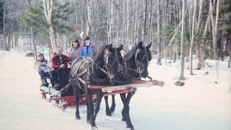 Two brown horses pulling a sled with five people on it in a snowy landscape.