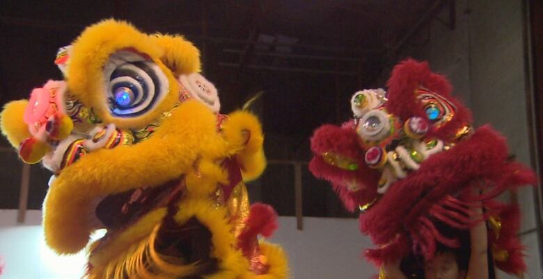 Two lion costumes-- one yellow and one red-- rehearse a lion dance routine for Lunar New Year. 