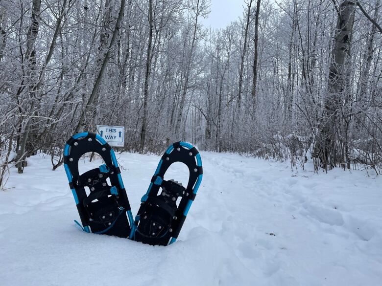 Birch Forest Trail at Moose Mountain Provincial Park is two kilometres of family-friendly winter wonder. 