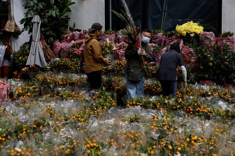 Customers shop for tangerine trees ahead of the Lunar New Year in Hong Kong.