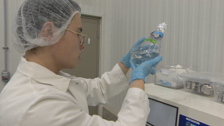 A person wearing a lab coat, hair net and gloves examines the contents of a beaker of liquid.