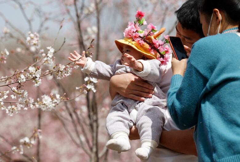 A man in China holds up a baby near a cherry blossom tree in Bejing in 2021.