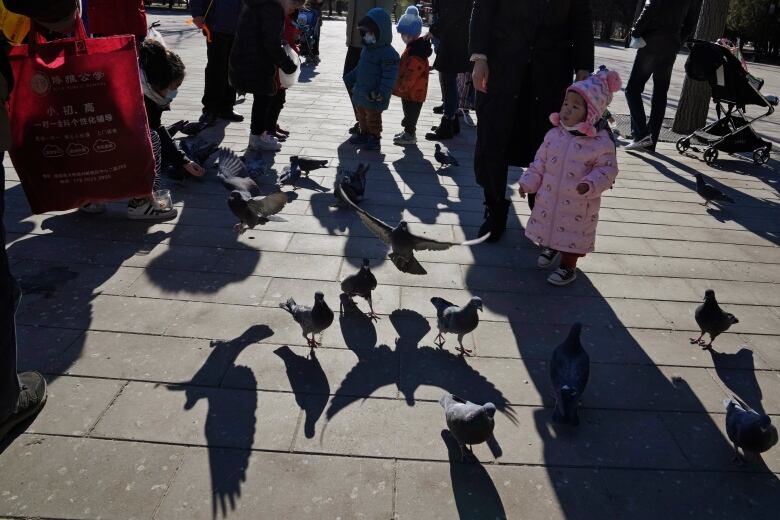 A small childn in a pink puffy coat looks at pigeons in a park in Bejing, China.