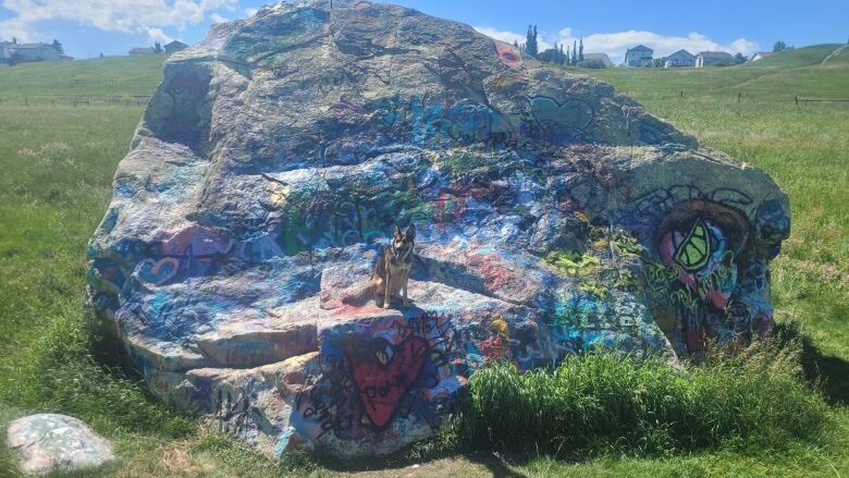 A dog sits on a graffiti-covered boulder in a park.