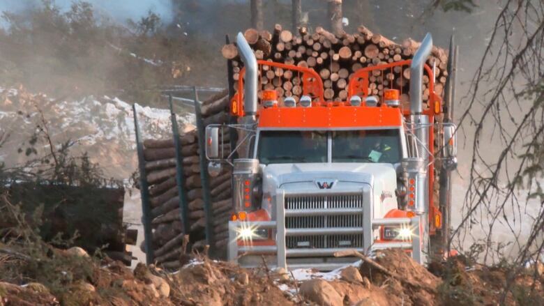 Truck hauling lumber from Protection Mountain fire guard. 