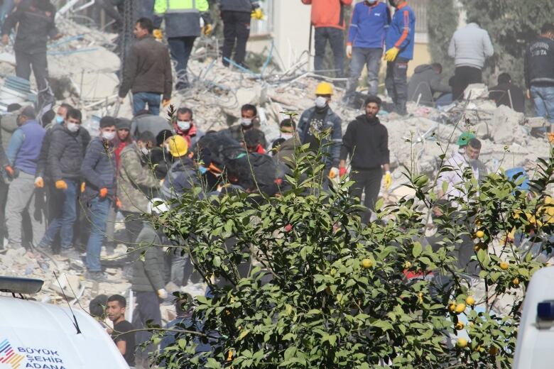 A group of people stand next to a pile of rubble from a collapsed building, with a leafy green bush in the foreground.