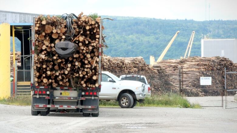 A truck stacked with cut trees waits outside a fenced-in yard containing more cut trees.