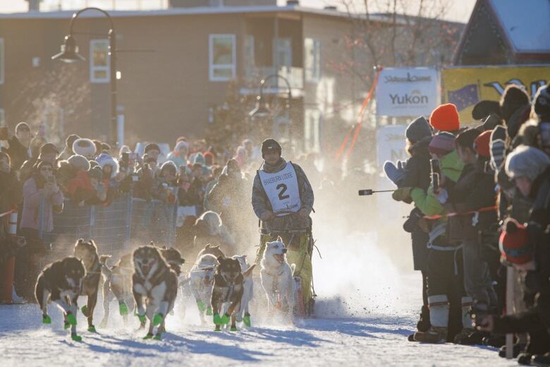 A crowd watches as a man is pulled on a sled by a team of dogs.