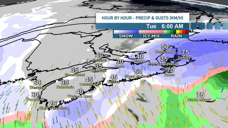 Snow will taper to flurries from west to east overnight and into early Tuesday for most of Nova Scotia. 