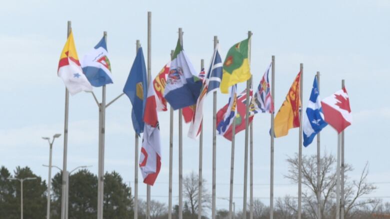 Many provincial and territorial flags flying in the wind.